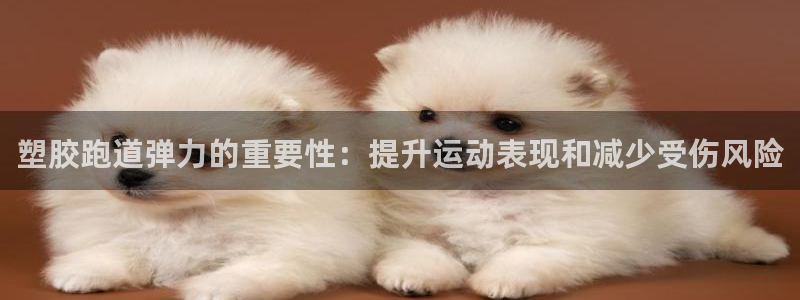 谈球吧网页登录：塑胶跑道弹力的重要性：提升运动表现和
