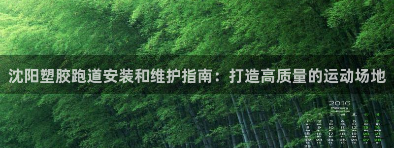 谈球吧论坛：沈阳塑胶跑道安装和维护指南：打造高质量的运动场地