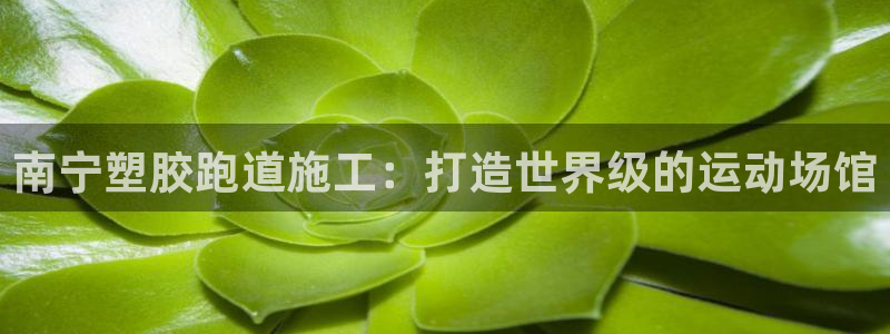 谈球吧APP入口：南宁塑胶跑道施工：打造世界级的运动场馆