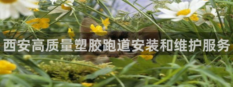 谈球吧平台黑吗?：西安高质量塑胶跑道安装和维护服务