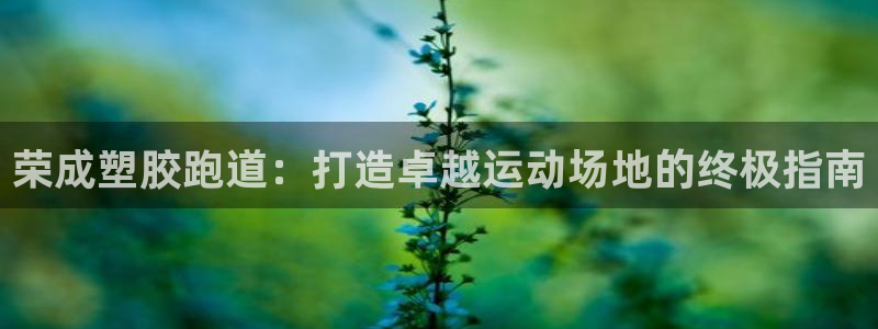 谈球吧是否诈骗：荣成塑胶跑道：打造卓越运动场地的终极指南