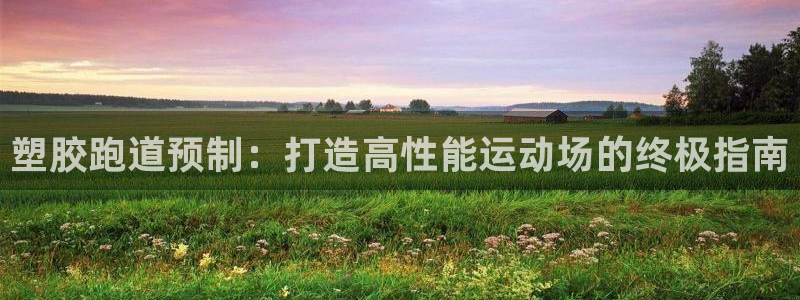 谈球吧在线：塑胶跑道预制：打造高性能运动场的终极指南