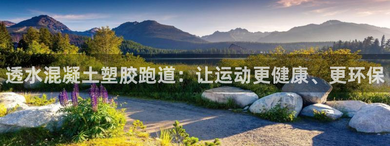 谈球吧的聊天软件：透水混凝土塑胶跑道：让运动更健康、更环保
