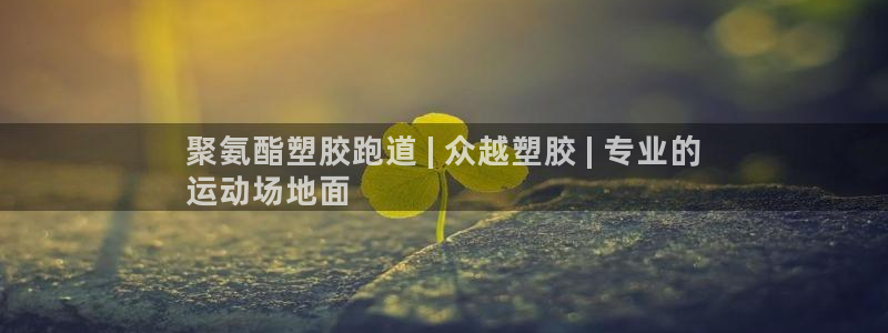 谈球吧入口：聚氨酯塑胶跑道 | 众越塑胶 | 专业的