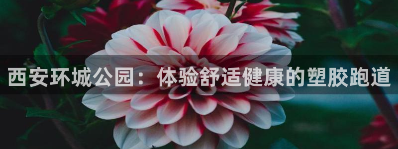 谈球吧体育app登陆：西安环城公园：体验舒适健康的塑胶跑道