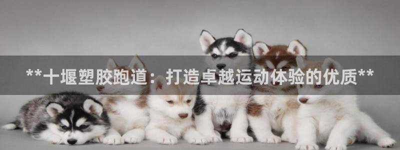 谈球吧平台正规吗可靠吗知乎：**十堰塑胶跑道：打造卓越运动体验的优质**
