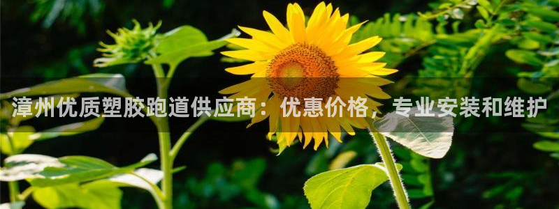 谈球吧娱乐app下载官网苹果：漳州优质塑胶跑道供应商：优惠价格，专业安装和维护