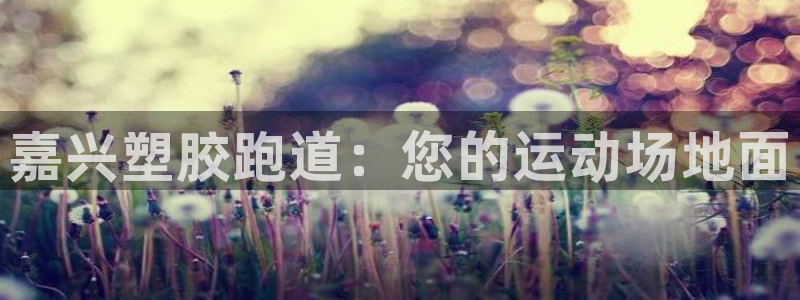 谈球吧平台app下载网址是什么：嘉兴塑胶跑道：您的运动场地面