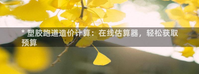谈球吧怎么充值：* 塑胶跑道造价计算：在线估算器，轻松获取
预算