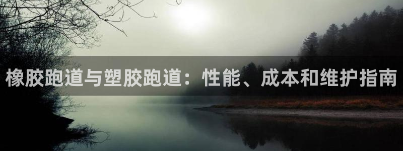 谈球吧体育综合：橡胶跑道与塑胶跑道：性能、成本和维护指南