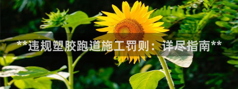 谈球吧下载：**违规塑胶跑道施工罚则：详尽指南**