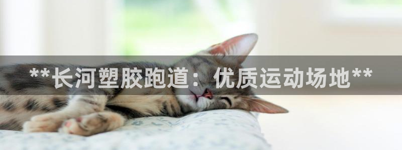 谈球吧是黑台子吗：**长河塑胶跑道：优质运动场地**