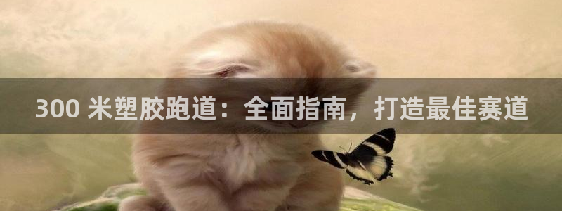 谈球吧网页登陆：300 米塑胶跑道：全面指南，打造最佳赛道