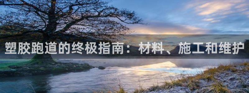 谈球吧网页登录：塑胶跑道的终极指南：材料、施工和维护