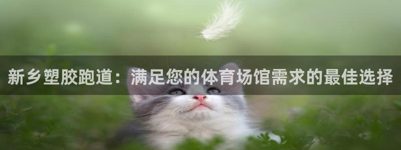 谈球吧官网入口：新乡塑胶跑道：满足您的体育场馆需求的最佳选择