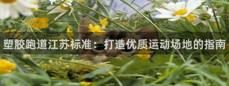 谈球吧是黑台子吗知乎：塑胶跑道江苏标准：打造优质运动场地的指南