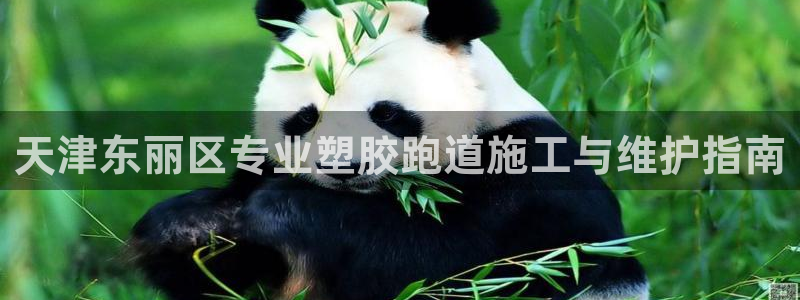 谈球吧官网下载：天津东丽区专业塑胶跑道施工与维护指南