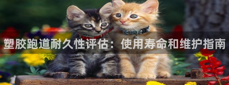 谈球吧app赛事分析在哪里看到：塑胶跑道耐久性评估：使用寿命和维护指南