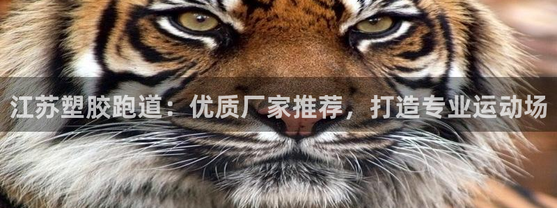 谈球吧是正规平台吗安全吗：江苏塑胶跑道：优质厂家推荐，打造专业运动场