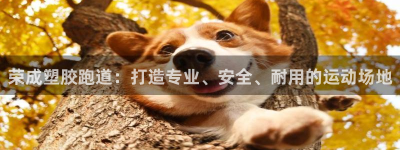 谈球吧体育app下载官网苹果：荣成塑胶跑道：打造专业、安全、耐用的运动场地