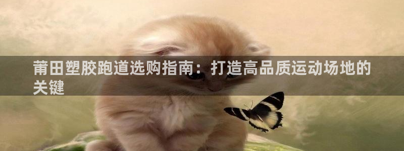 谈球吧娱乐app下载官网苹果版：莆田塑胶跑道选购指南：打造高品质运动场地的
关键