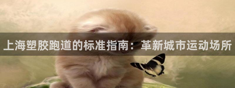 谈球吧登录地址：上海塑胶跑道的标准指南：革新城市运动场所