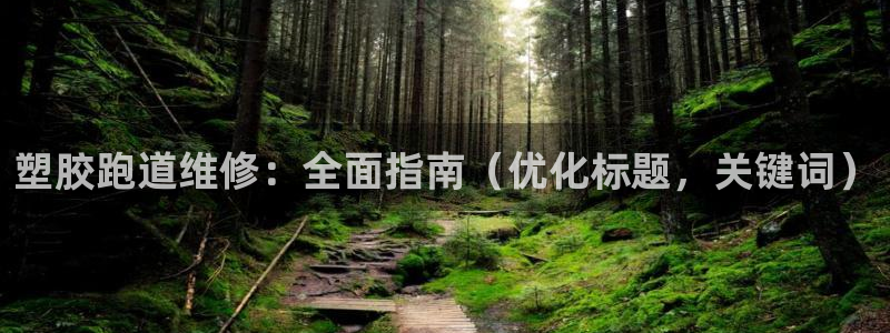 谈球吧下载：塑胶跑道维修：全面指南（优化标题，关键词）