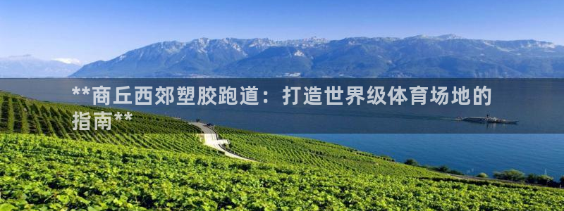 谈球吧体育app下载官网苹果版：**商丘西郊塑胶跑道：打造世界级体育场地的
指南**