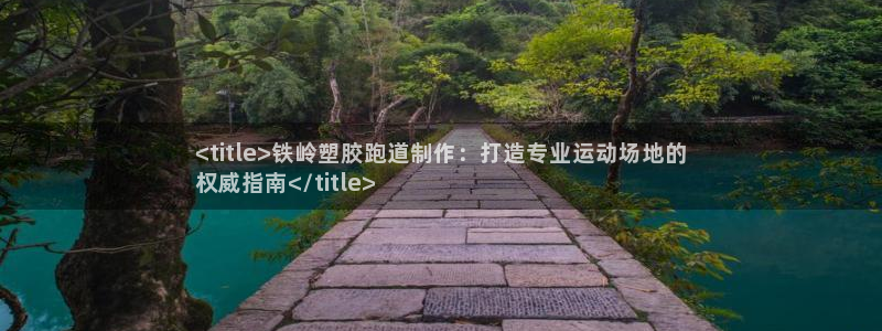 谈球吧的聊天软件：<title>铁岭塑胶跑道制作：打造专业运动场地的
权威指南</title>
