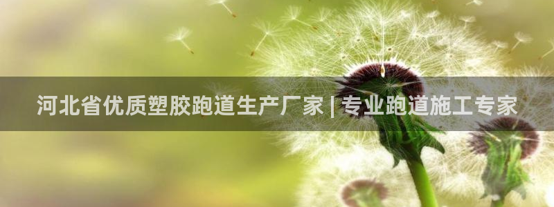 谈球吧黑款不：河北省优质塑胶跑道生产厂家 | 专业跑道施工专家