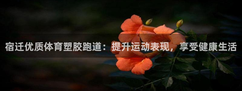 谈球吧体育app下载官网手机版：宿迁优质体育塑胶跑道：提升运动表现，享受健康生活