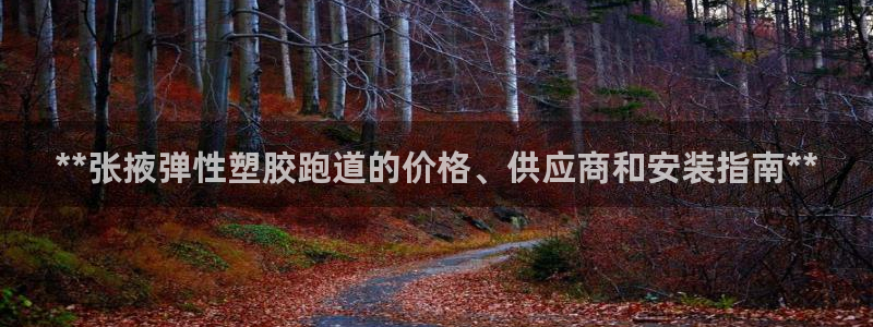 谈球吧综合官网app：**张掖弹性塑胶跑道的价格、供应商和安装指南**