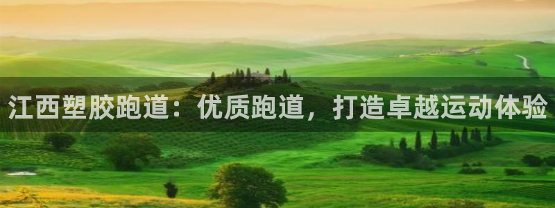 谈球吧APP入口：江西塑胶跑道：优质跑道，打造卓越运动体验