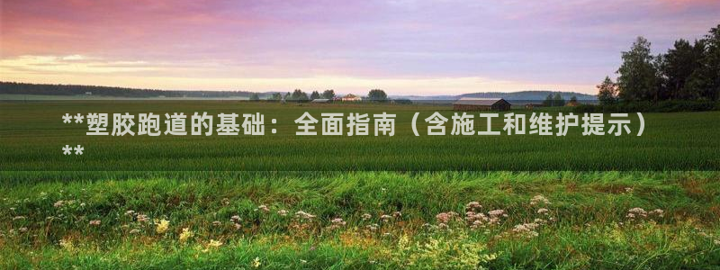 谈球吧网页登录：**塑胶跑道的基础：全面指南（含施工和维护提示）
**