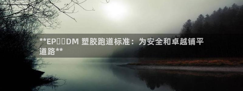 谈球吧体育赛事入口：**EP​​DM 塑胶跑道标准：为安全和卓越铺平
道路**