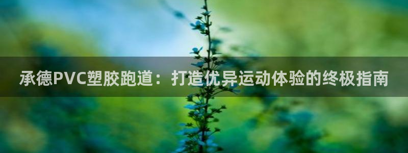 谈球吧官网在线入口手机版免费下载：承德PVC塑胶跑道：打造优异运动体验的终极指南
