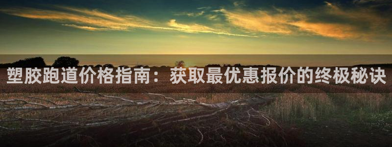 谈球吧tvt：塑胶跑道价格指南：获取最优惠报价的终极秘诀
