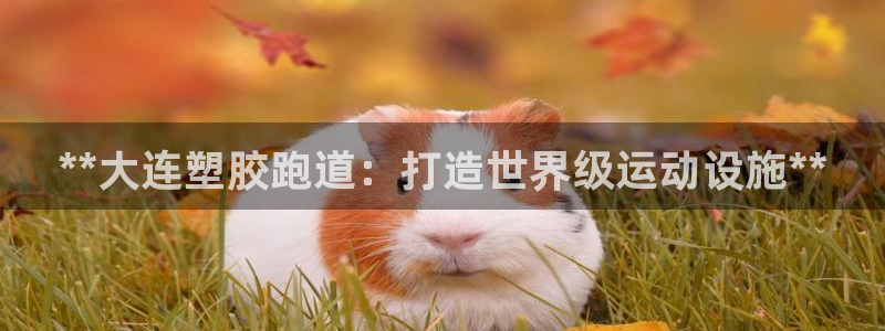 谈球吧体育官方入口：**大连塑胶跑道：打造世界级运动设施**