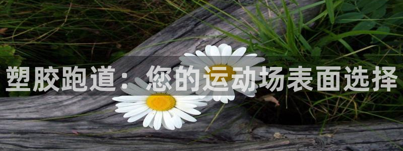 谈球吧怎么样?：塑胶跑道：您的运动场表面选择