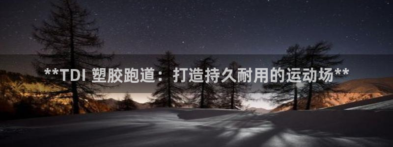 谈球吧真人：**TDI 塑胶跑道：打造持久耐用的运动场**