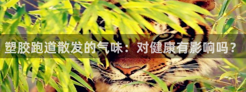 谈球吧娱乐app下载官网苹果：塑胶跑道散发的气味：对健康有影响吗？