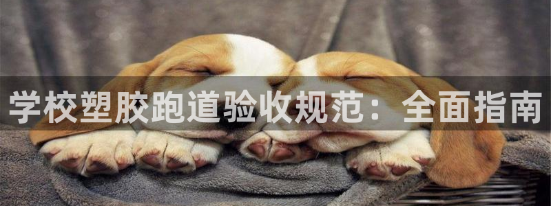 谈球吧网页登录：学校塑胶跑道验收规范：全面指南