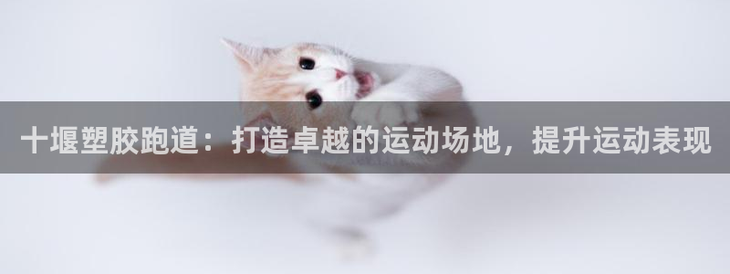 谈球吧算违法行为吗为什么：十堰塑胶跑道：打造卓越的运动场地，提升运动表现