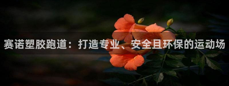 谈球吧怎么充值：赛诺塑胶跑道：打造专业、安全且环保的运动场