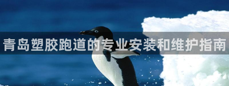 谈球吧官网app：青岛塑胶跑道的专业安装和维护指南