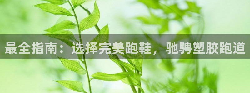 谈球吧体育app下载官网苹果：最全指南：选择完美跑鞋，驰骋塑胶跑道