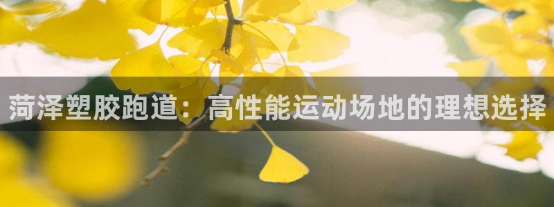 谈球吧官方网站：菏泽塑胶跑道：高性能运动场地的理想选择