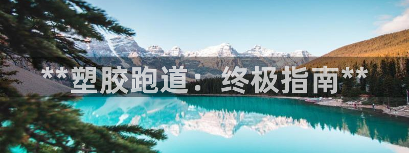 谈球吧官网在线入口免费观看视频网站：**塑胶跑道：终极指南**