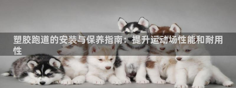 谈球吧首页：塑胶跑道的安装与保养指南：提升运动场性能和耐用
性