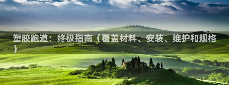 谈球吧入口：塑胶跑道：终极指南（覆盖材料、安装、维护和规格
）